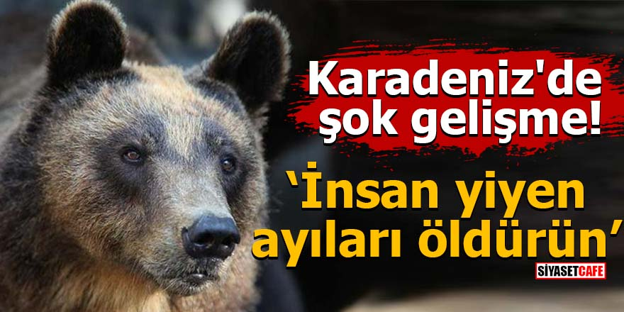 Karadeniz'de şok gelişme! İnsan yiyen ayıları öldürün
