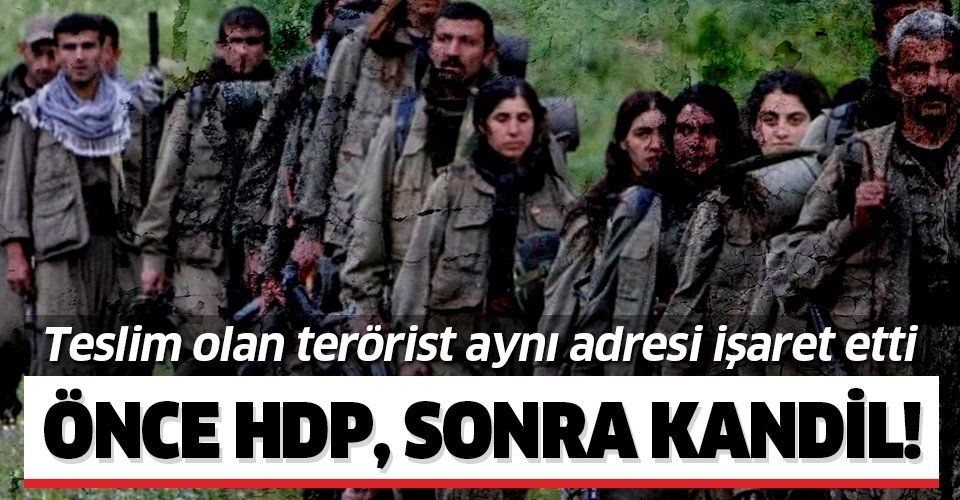Teslim olan teröristler aynı adresi işaret etti! Önce HDP, sonra Kandil!.