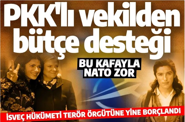 PKK'lı vekilden bütçe desteği! İsveç hükümeti terör örgütüne yine borçlandı