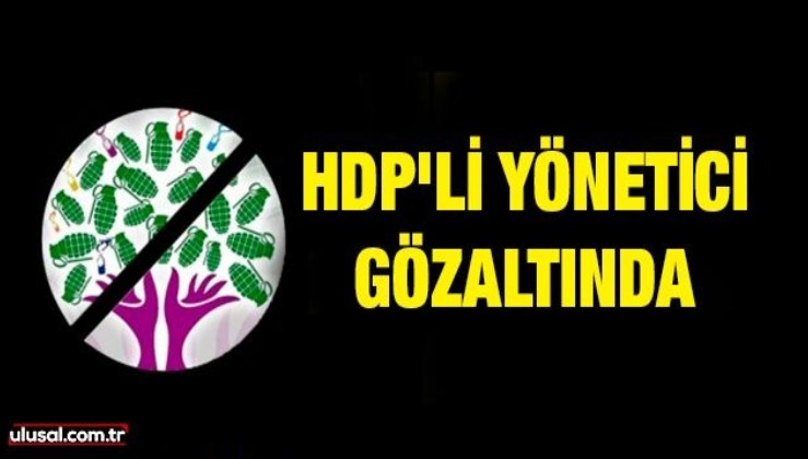HDP'li yönetici gözaltına alındı