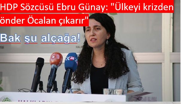 HDP Sözcüsü Ebru Günay: "Ülkeyi krizden önder Öcalan çıkarır"