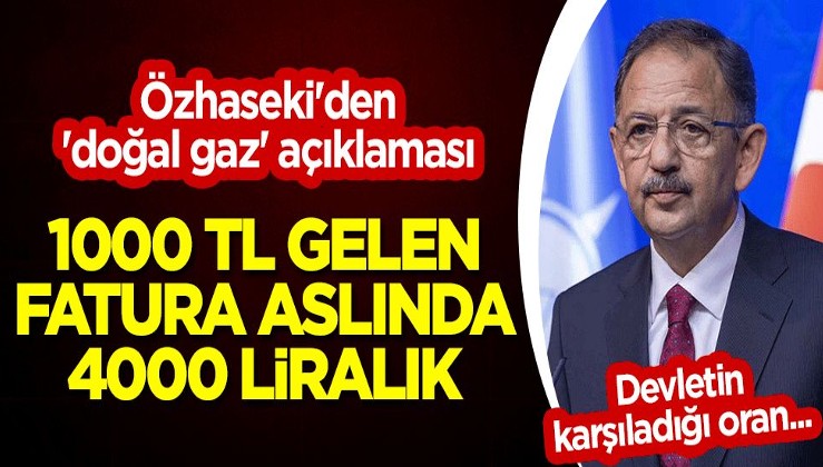 Özhaseki'den 'doğal gaz' açıklaması: 1000 TL gelen fatura aslında 4000 liralık