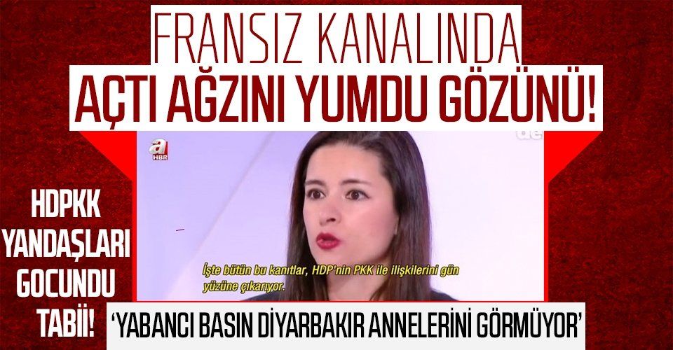 Öznur Sinere Fransız televizyonunda HDPKK gerçeğini anlattı! "PKK ile HDP’nin kanıtlanmış bağlantıları var"