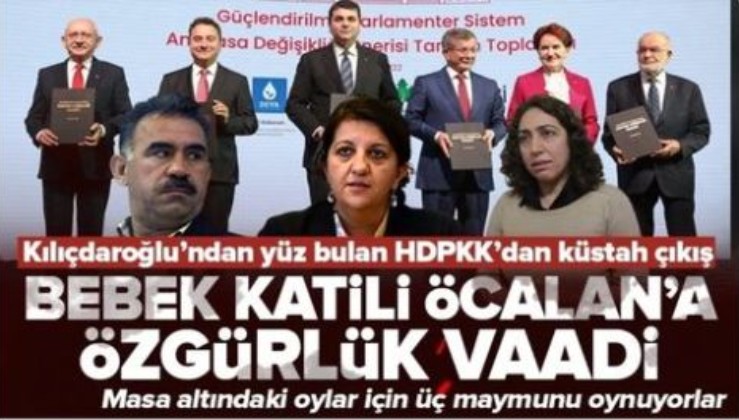 HDP'li Sırrı Süreyya Önder Öcalan'a selam gönderdi: Özgürleşeceği günler yakındır