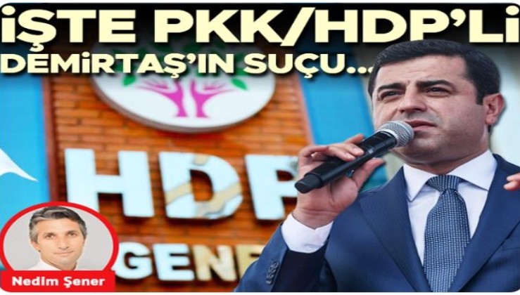 İşte PKK/HDP’li Demirtaş’ın suçu...