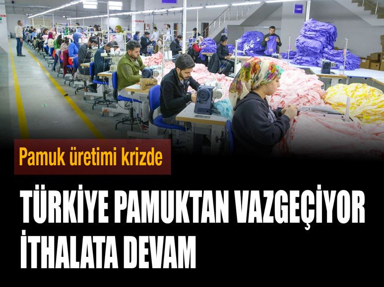 Şanlıurfa, Çukurova ve Söke’de pamuk üretimi krizde! Türkiye pamuktan vazgeçiyor ithalata devam