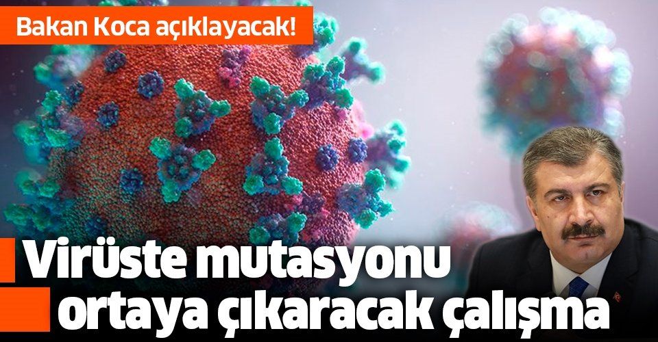 Son dakika: Sağlık Bakanı Fahrettin Koca açıklayacak! Virüste mutasyonu ortaya çıkaracak çalışma