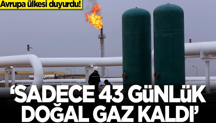 Avrupa ülkesi duyurdu: 43 günlük doğalgazımız kaldı
