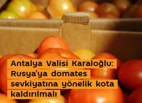 Antalya Valisi Karaloğlu: Rusya'ya domates sevkiyatına yönelik kota kaldırılmalı