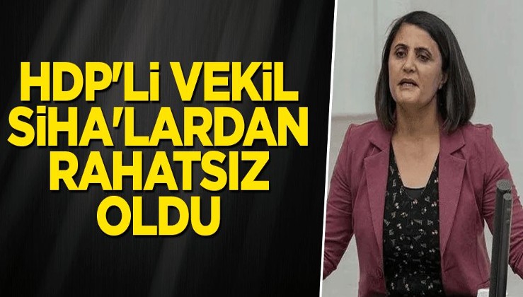 HDP'li vekil SİHA'lardan rahatsız oldu