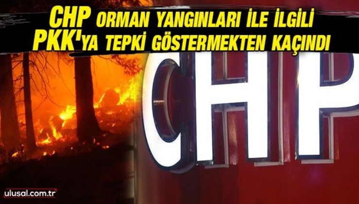CHP orman yangınları ile ilgili PKK'ya tepki göstermekten kaçındı