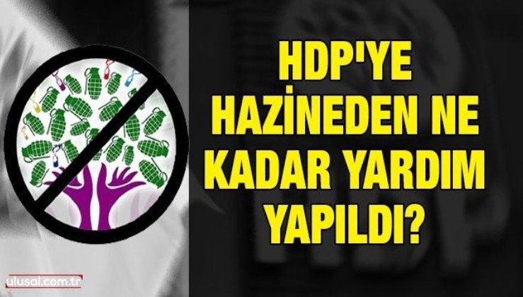 HDP'ye hazineden ne kadar yardım yapıldı?