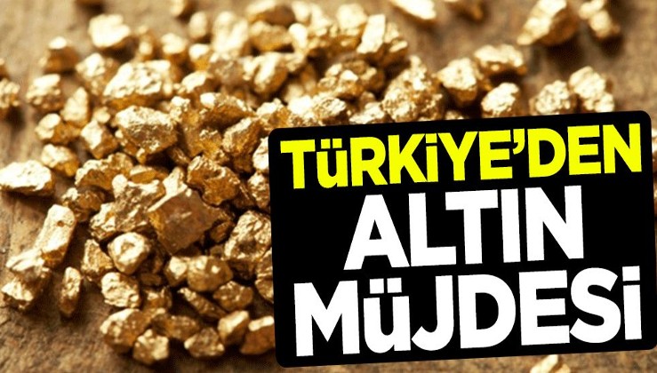 Türkiye'den altın müjdesi