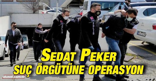 Sedat Peker suç örgütüne operasyon: 9 tutuklama