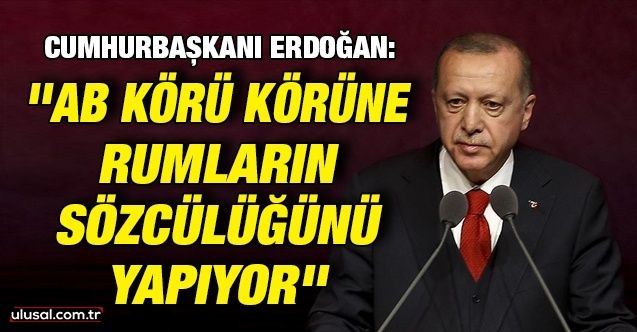 Cumhurbaşkanı Erdoğan: ''AB körü körüne Rumların sözcülüğünü yapıyor''