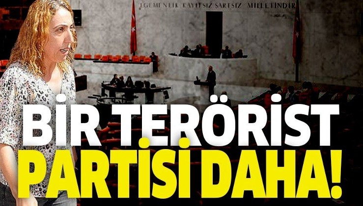 HDP'li Saliha Aydeniz Demokratik Bölgeler Birliği'ne geçti!.