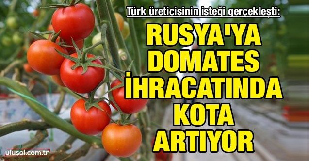 Türk üreticisinin isteği gerçekleşti: Rusya'ya domates ihracatında kota artıyor