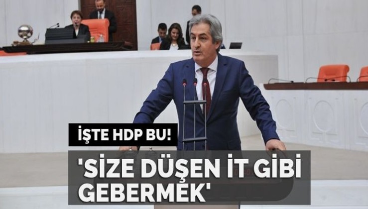 HDP’li Botan’dan alçak paylaşım: Size düşen it gibi gebermek!