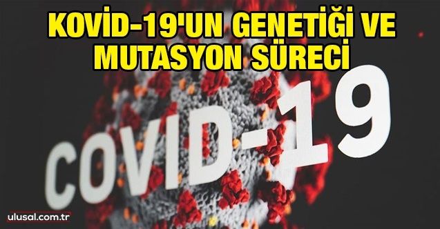 Kovid19'un genetiği ve mutasyon süreci