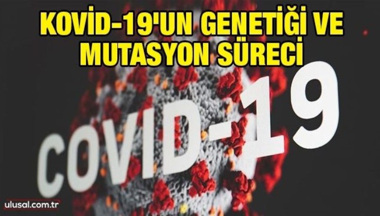 Kovid-19'un genetiği ve mutasyon süreci