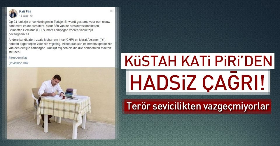 Türkiye'ye hadsiz Demirtaş çağrısı!.