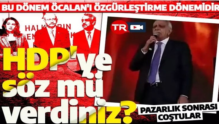 HDP’li Ahmet Türk’ten skandal sözler: Bu dönem Öcalan'ı özgürleştirme dönemidir
