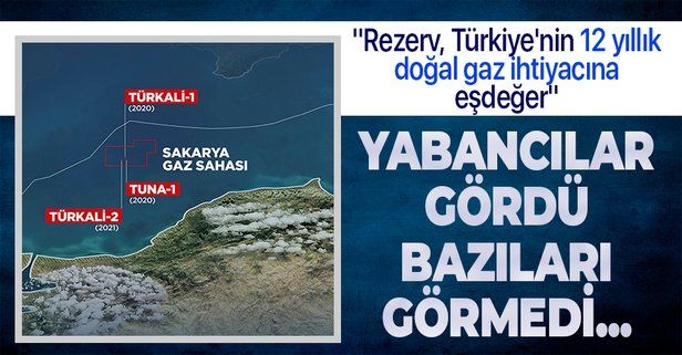 Wood Mackenzie: Karadeniz'deki yeni keşifle ulaşılan rezerv Türkiye'nin 12 yıllık doğal gaz ihtiyacına eşdeğer