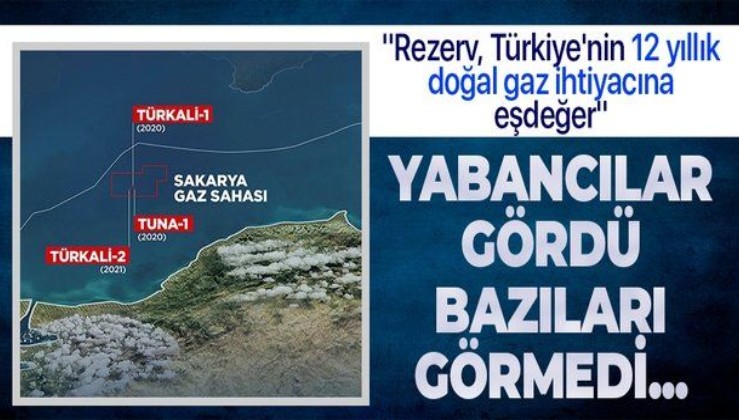 Wood Mackenzie: Karadeniz'deki yeni keşifle ulaşılan rezerv Türkiye'nin 12 yıllık doğal gaz ihtiyacına eşdeğer