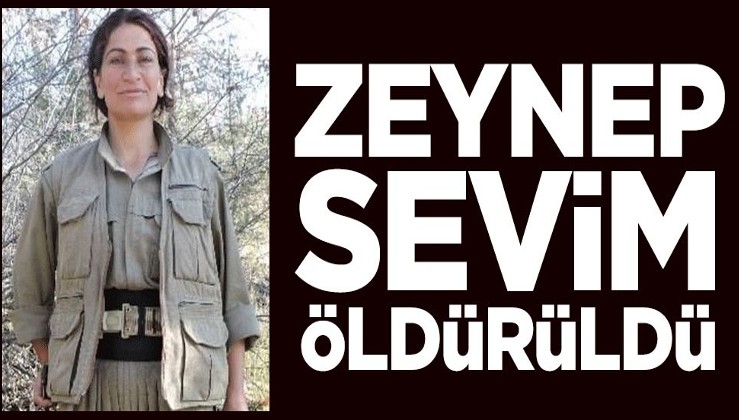 MİT terörist Zeynep Sevim'i etkisiz hale getirdi
