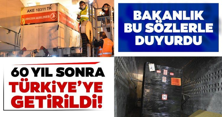 SON DAKİKA HABER | 60 yıl sonra Türkiye'ye getirildi! Türkiye'den kaçak yollarla satılmıştı...
