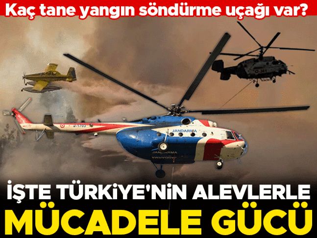 Türkiye'de kaç tane yangın söndürme uçağı var? İşte Türkiye'nin orman yangınlarıyla mücadele gücü...