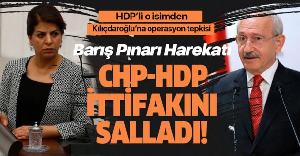 Barış Pınarı Harekatı CHPHDP ittifakını salladı! HDP’li Sibel Yiğitalp’den Kılıçdaroğlu’na operasyon tepkisi….