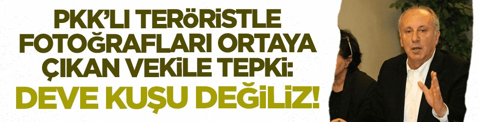 İnce'den PKK'lı teröristle fotoğrafları ortaya çıkan HDP'li vekile tepki: Deve kuşu değiliz!