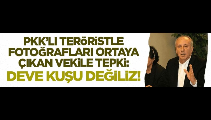 İnce'den PKK'lı teröristle fotoğrafları ortaya çıkan HDP'li vekile tepki: Deve kuşu değiliz!