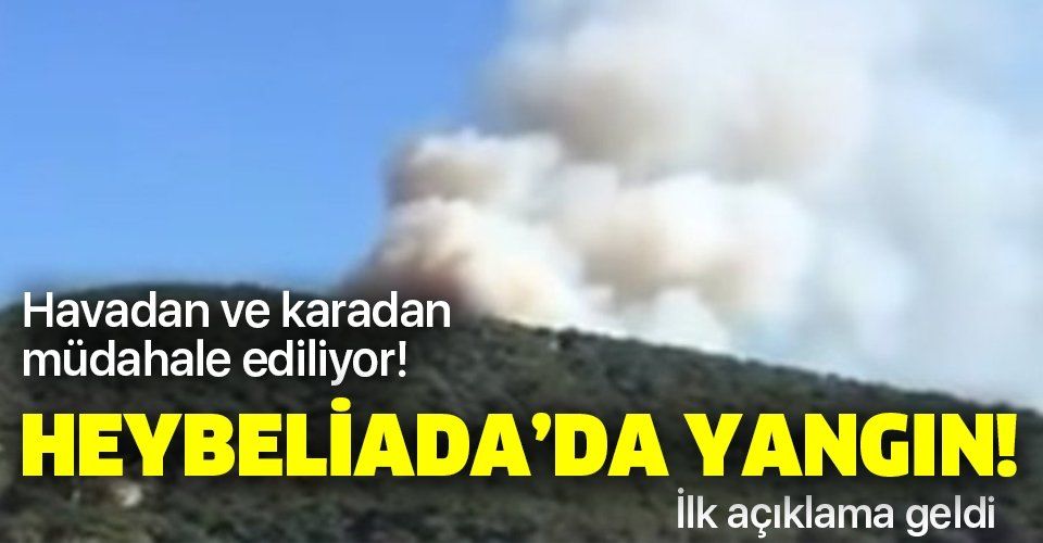 Son dakika: İstanbul Heybeliada'da yangın!