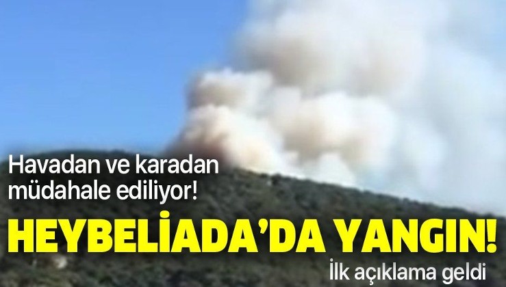 Son dakika: İstanbul Heybeliada'da yangın!