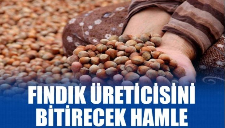 ‘Değerli Tarım’la fındığa öldürücü hamle’: Ferrero 100 bin dönüm alanda