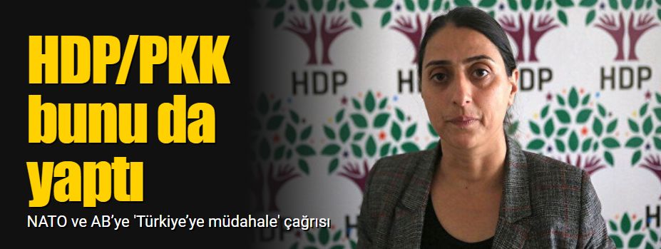 HDP'den 'Türkiye’ye müdahale edin' çağrısı