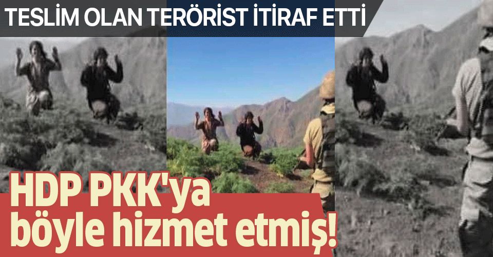 Teslim olan PKK'lı terörist itiraf etti! HDP PKK'ya böyle hizmet etmiş.
