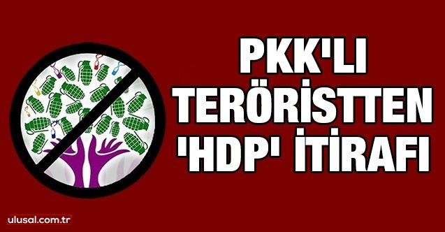 PKK'lı teröristten 'HDP' itirafı