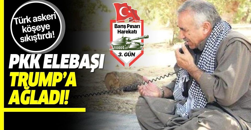 İyice köşeye sıkışan PKK elebaşı Murat Karayılan Trump'a ağladı!.