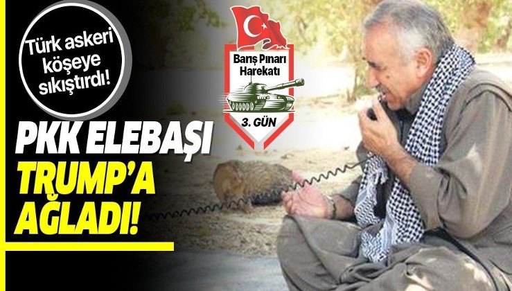 İyice köşeye sıkışan PKK elebaşı Murat Karayılan Trump'a ağladı!.