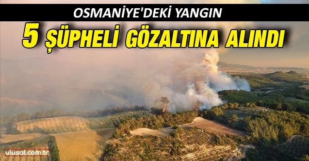 Osmaniye'deki yangınla ilgili 5 kişi gözaltına alındı