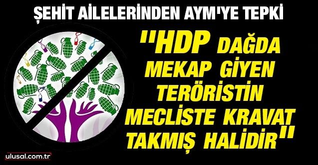 Şehit ailelerinden AYM'ye tepki: ''HDP dağda mekap giyen teröristin mecliste kravat takmış halidir''