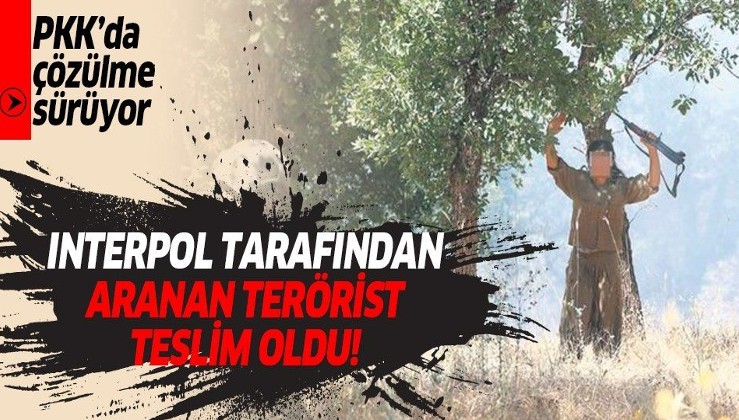 Son dakika: Biri İnterpol tarafından kırmızı bültenle aranan 2 terörist Şırnak’ta teslim oldu