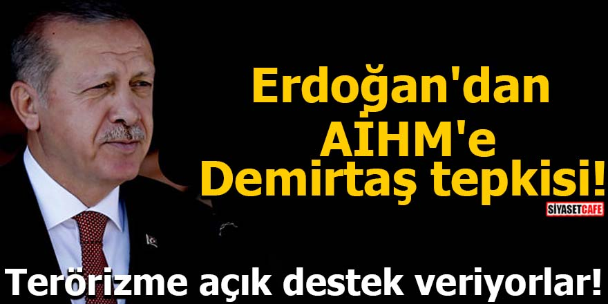 Erdoğan'dan AİHM'e Demirtaş tepkisi! Terörizme açık destek veriyorlar