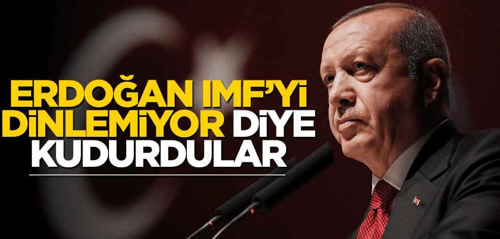 Erdoğan IMF’yi dinlemiyor diye kudurdular