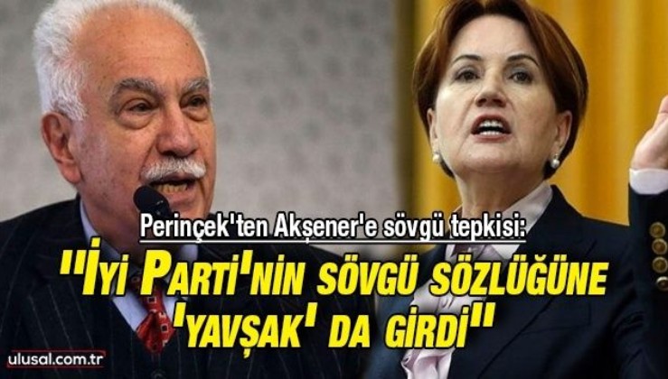Perinçek'ten Akşener'e sövgü tepkisi: ''İyi Parti'nin sövgü sözlüğüne 'yavşak' da girdi''