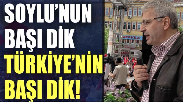 Şair Hüseyin Haydar: Soylu'nun başı dik, Türkiye'nin başı dik!