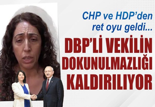 CHP ve HDP'den ret oyu